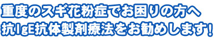 重度のスギ花粉でお困りの方へ抗IgE抗体製剤療法をお勧めします
